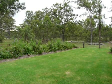9  Cemetery Road, MURPHYS CREEK QLD 4352, Murphys Creek - Thumbnail 2