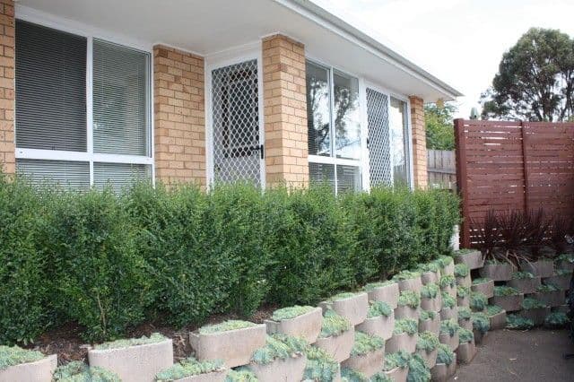 3/20  Strahan Road, NEWSTEAD TAS 7250, Newstead - Image 1