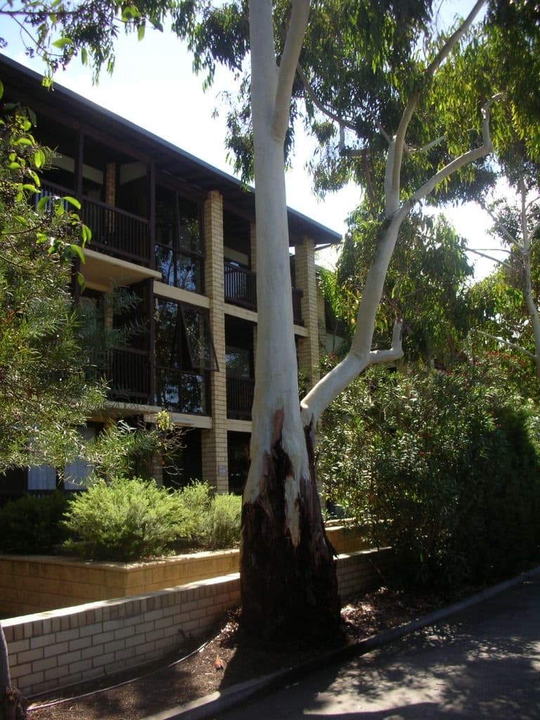15/6 Munro Street, GLENELG NORTH SA 5045, Glenelg North - Image 1