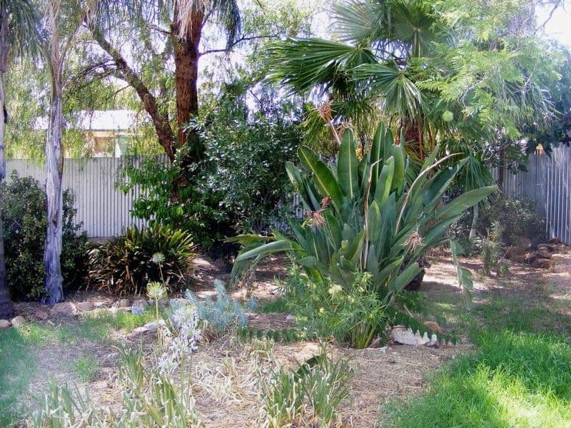 21 Spruance Road, ELIZABETH EAST SA 5112, Elizabeth East - Thumbnail 8