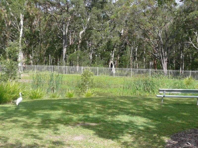 16 Dellavia Drive, LAKE MUNMORAH NSW 2259, Lake Munmorah - Thumbnail 8