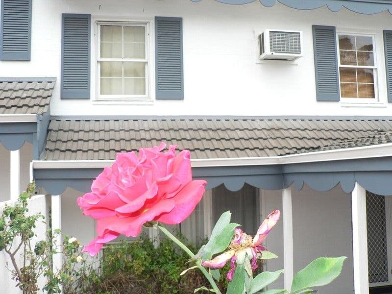 27 Osborne Road, EAST FREMANTLE WA 6158, East Fremantle - Image 1