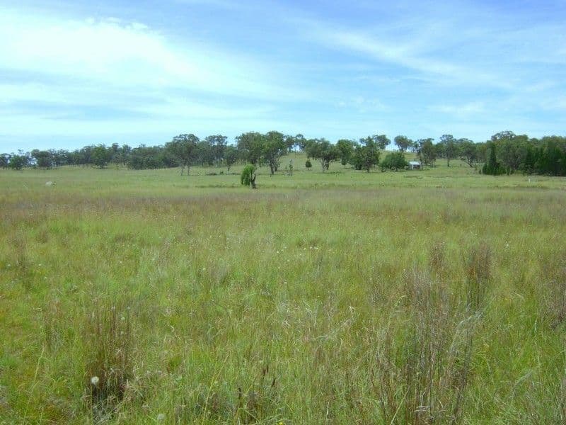 INVERELL NSW 2360, Inverell - Image 1