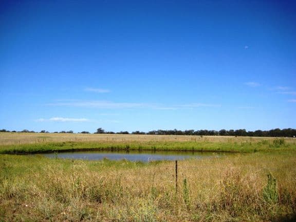 GUM FLAT NSW 2360, Gum Flat - Image 1