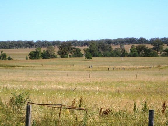 GUM FLAT NSW 2360, Gum Flat - Thumbnail 3