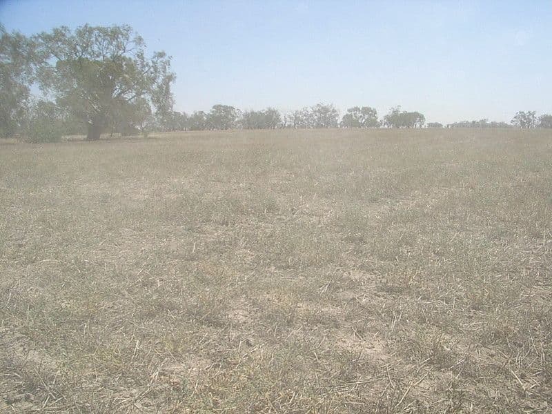 668 Highett Road, MITIAMO VIC 3573, Mitiamo - Thumbnail 3
