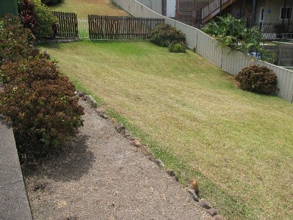 194 Main Road, CARDIFF NSW 2285, Cardiff - Thumbnail 4
