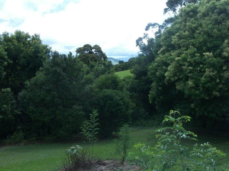 WITTA QLD 4552, Witta - Thumbnail 8