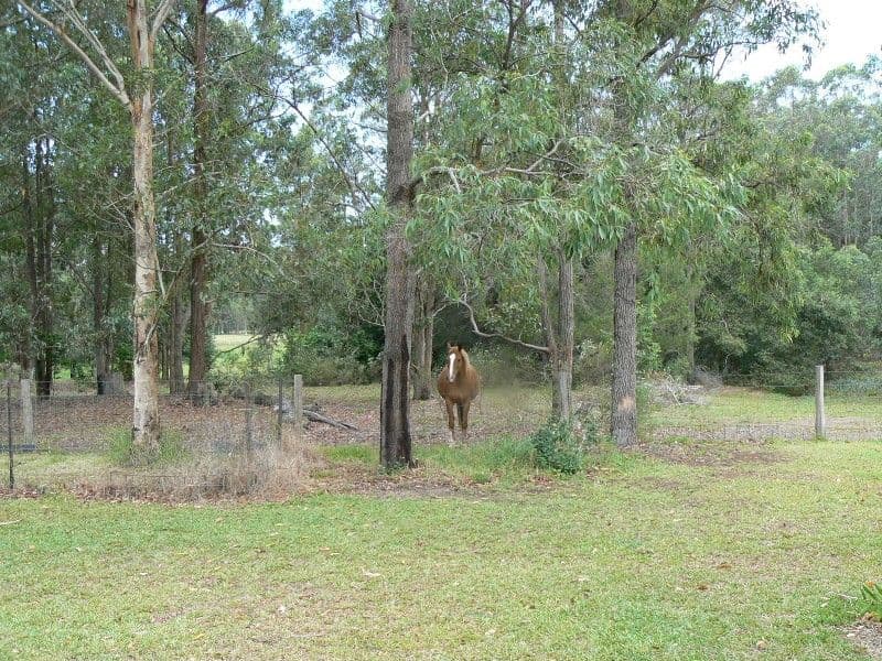 TAREE NSW 2430, Taree - Thumbnail 4