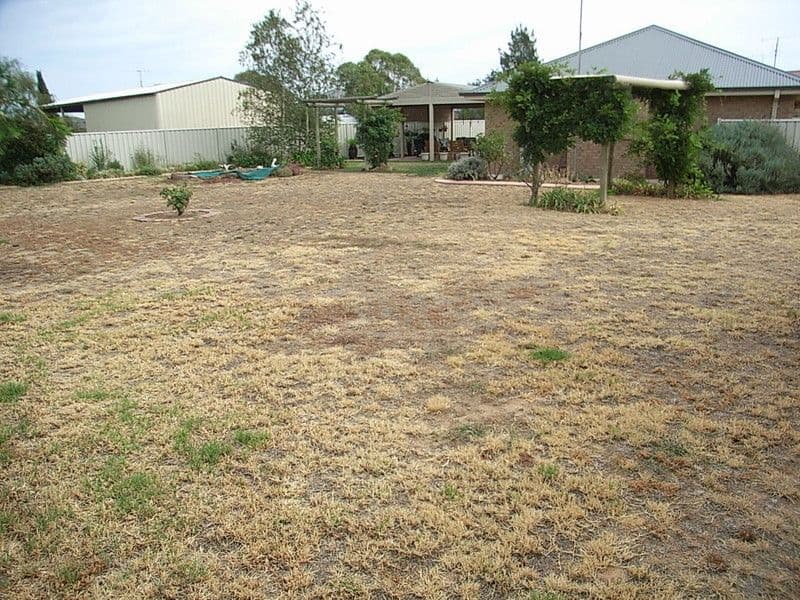 10 Harris Court, MOAMA NSW 2731, Moama - Thumbnail 8