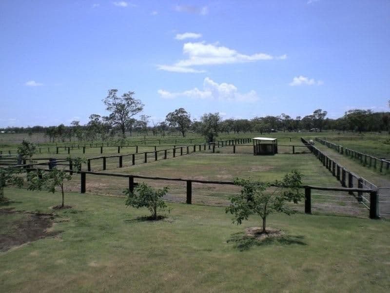 45 Beale Street, OAKEY QLD 4401, Oakey - Image 1