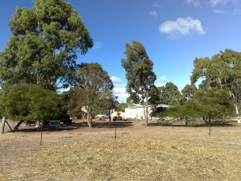 KENDENUP WA 6323, Kendenup - Thumbnail 4