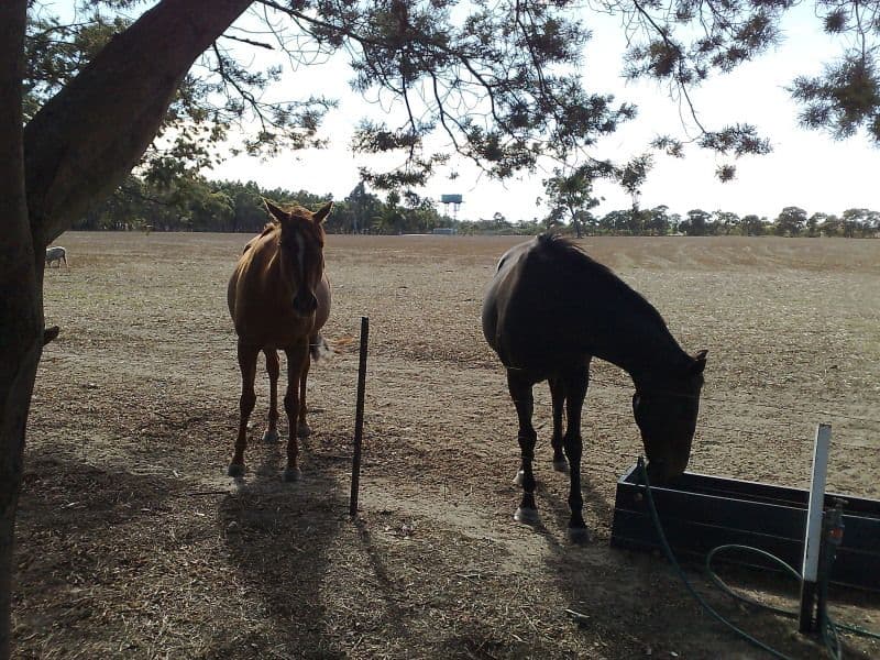KENDENUP WA 6323, Kendenup - Thumbnail 5
