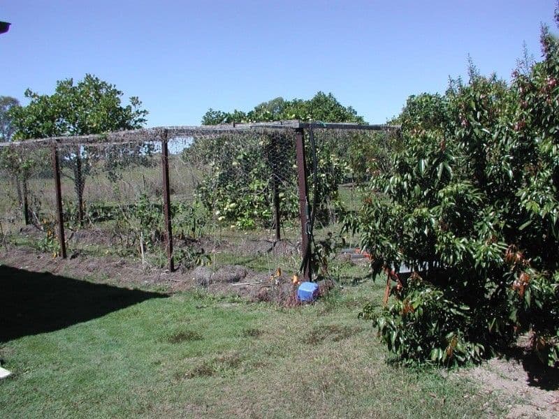 Lot 3 Flaggy Rock Road, CARMILA QLD 4739, Carmila - Thumbnail 4