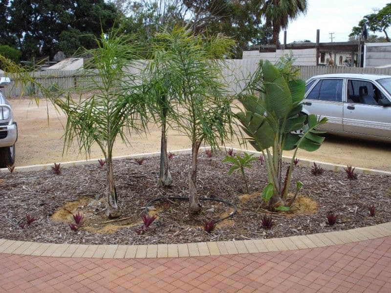 2/7 Duke Street, GERALDTON WA 6530, Geraldton - Thumbnail 2