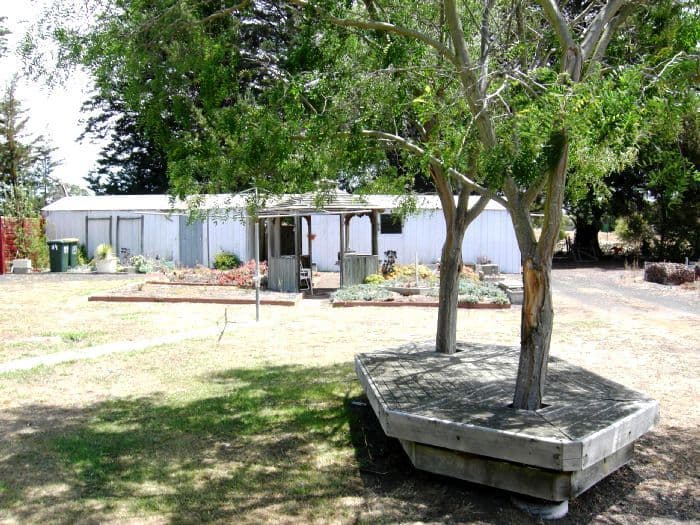 89 Learmonth Street, TEESDALE VIC 3328, Teesdale - Thumbnail 3