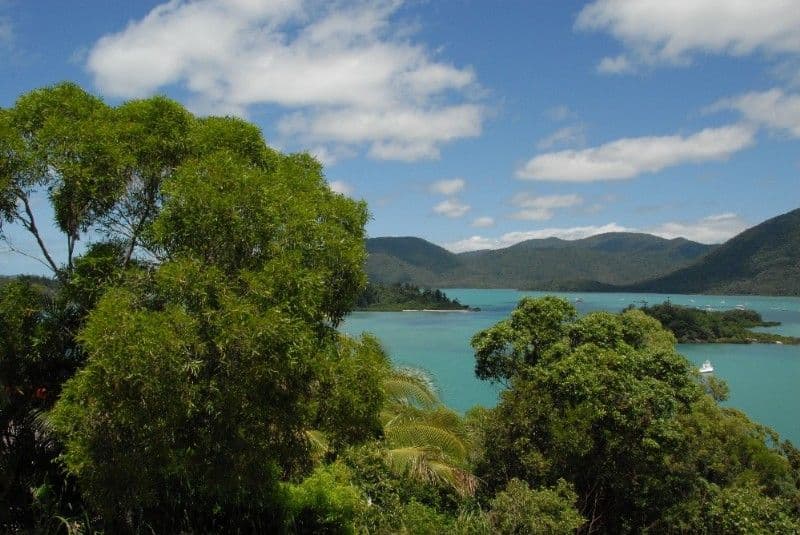 56 Harbour Avenue, SHUTE HARBOUR QLD 4802, Shute Harbour - Thumbnail 7