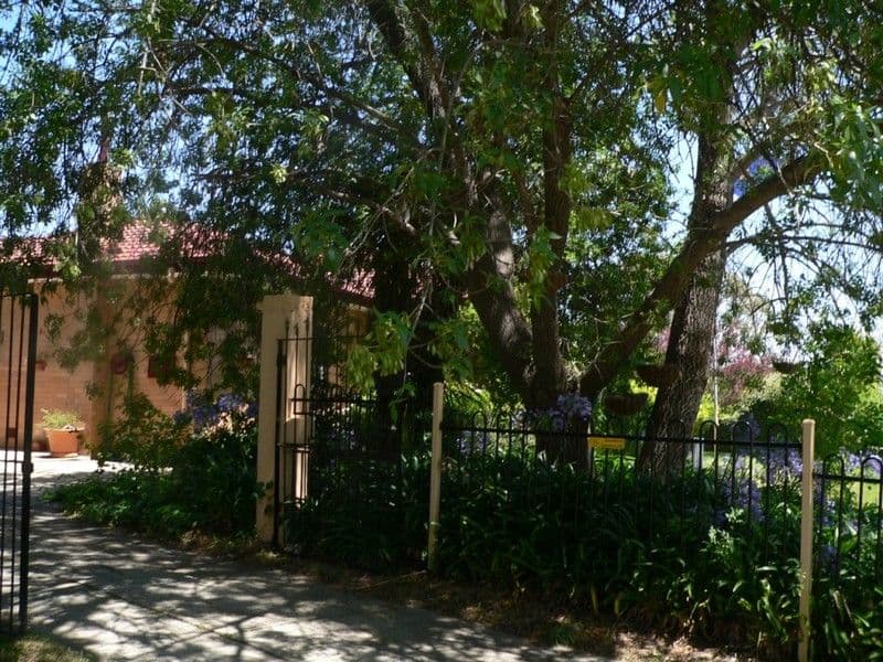 108 Bangalay Crescent, RIVETT ACT 2611, Rivett - Thumbnail 8