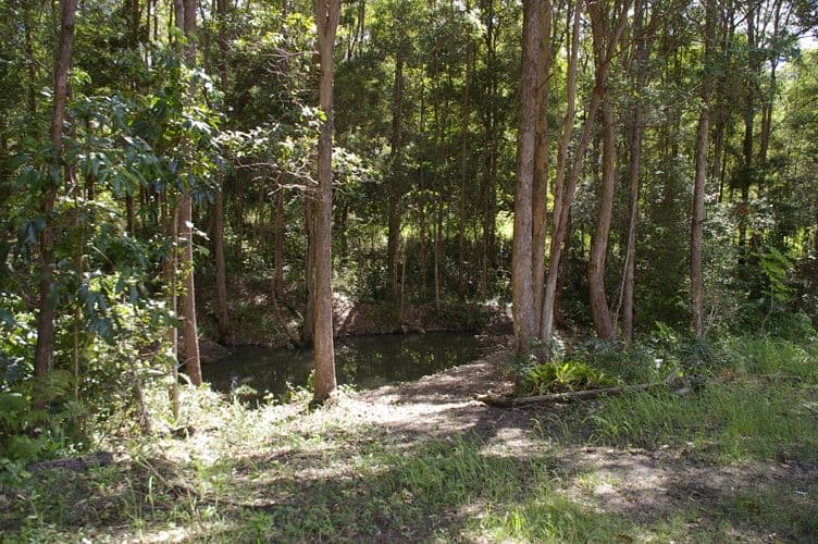 11 Kirrawood Court, MAROOCHY RIVER QLD 4561, Maroochy River - Thumbnail 5
