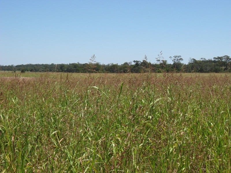 0 Peranga-Brymaroo Road, PERANGA QLD 4352, Peranga - Thumbnail 3