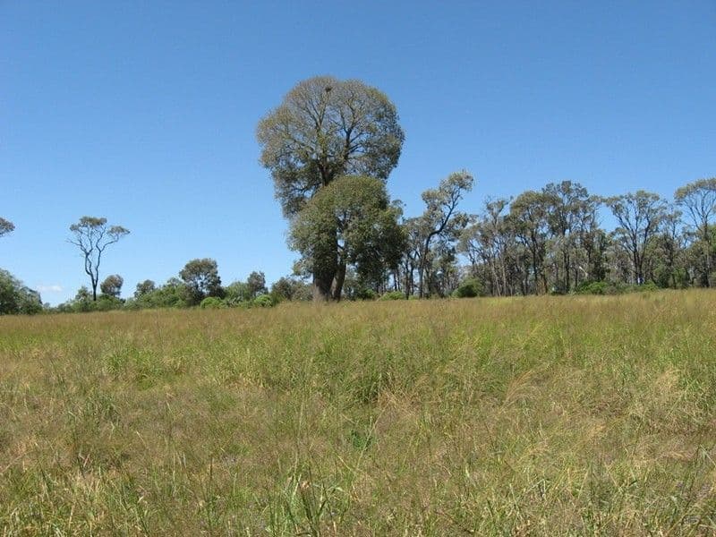 0 Peranga-Brymaroo Road, PERANGA QLD 4352, Peranga - Thumbnail 6