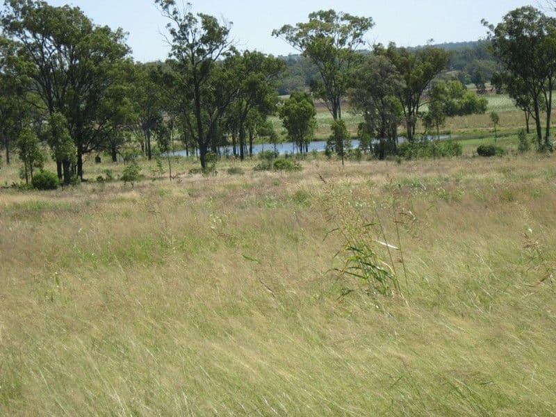 0 Peranga-Brymaroo Road, PERANGA QLD 4352, Peranga - Thumbnail 7