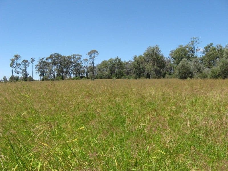 0 Peranga-Brymaroo Road, PERANGA QLD 4352, Peranga - Thumbnail 8