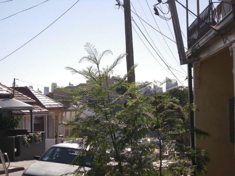 19 Robert Street, PETERSHAM NSW 2049, Petersham - Thumbnail 3