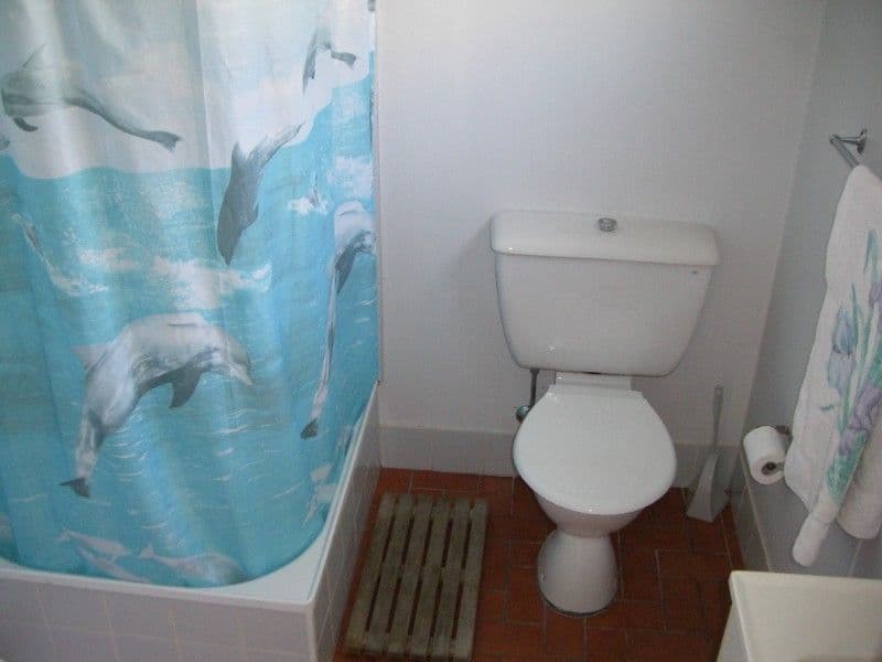 19 Robert Street, PETERSHAM NSW 2049, Petersham - Thumbnail 5