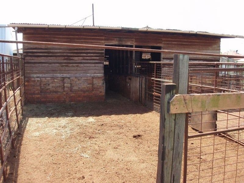 23 McDowall Street, NEWTOWN QLD 4350, Newtown - Thumbnail 4