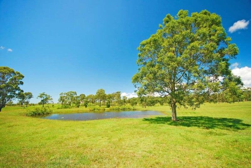 279 Coorooman Creek Road, YEPPOON QLD 4703, Yeppoon - Thumbnail 8