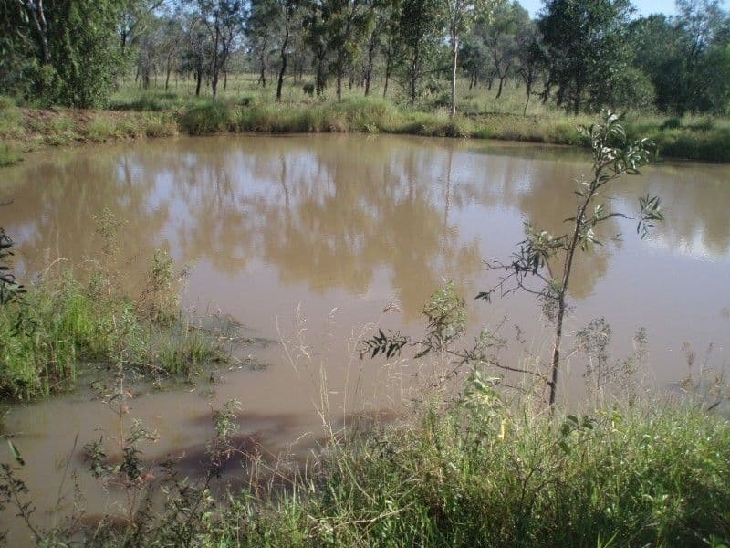 86 Horger Road, ALTON DOWNS QLD 4702, Alton Downs - Thumbnail 2
