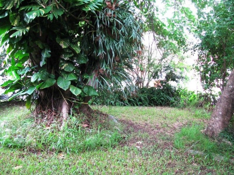 12 Sibyl Street, SOUTHPORT QLD 4215, Southport - Thumbnail 8