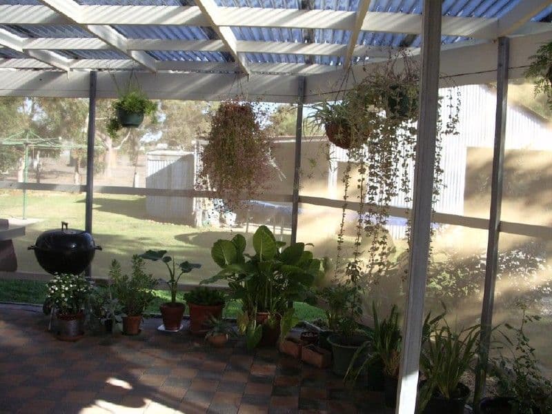 14 Jervois Street, BORDERTOWN SA 5268, Bordertown - Thumbnail 6