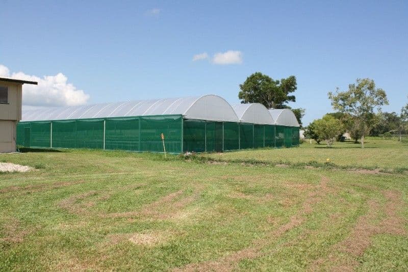 TULLY QLD 4854, Tully - Thumbnail 3