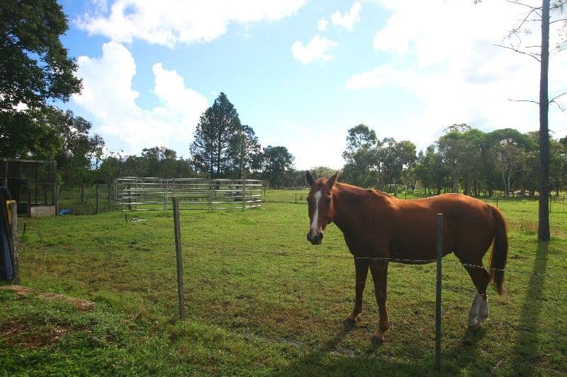 SOUTH KOLAN QLD 4670, South Kolan - Thumbnail 4