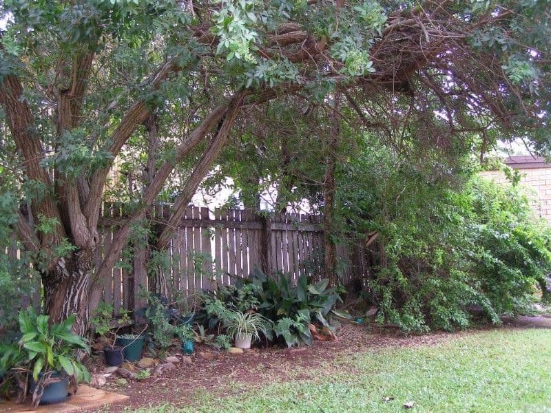 19 James Street, SCARBOROUGH QLD 4020, Scarborough - Thumbnail 6