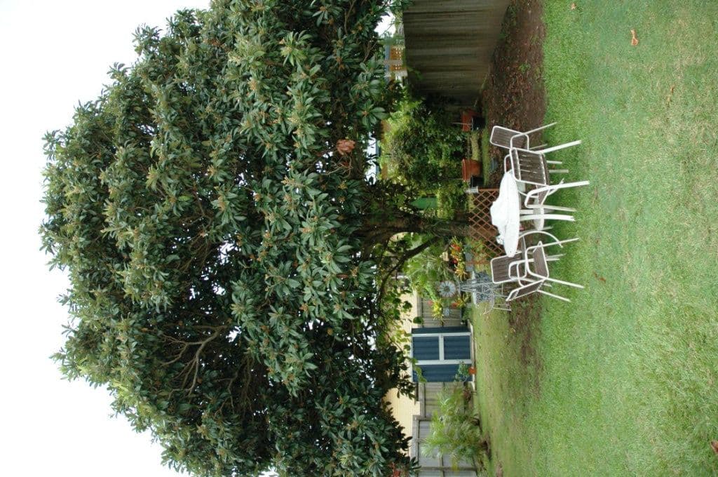 12  Bell Street, WOODY POINT QLD 4019, Woody Point - Thumbnail 7