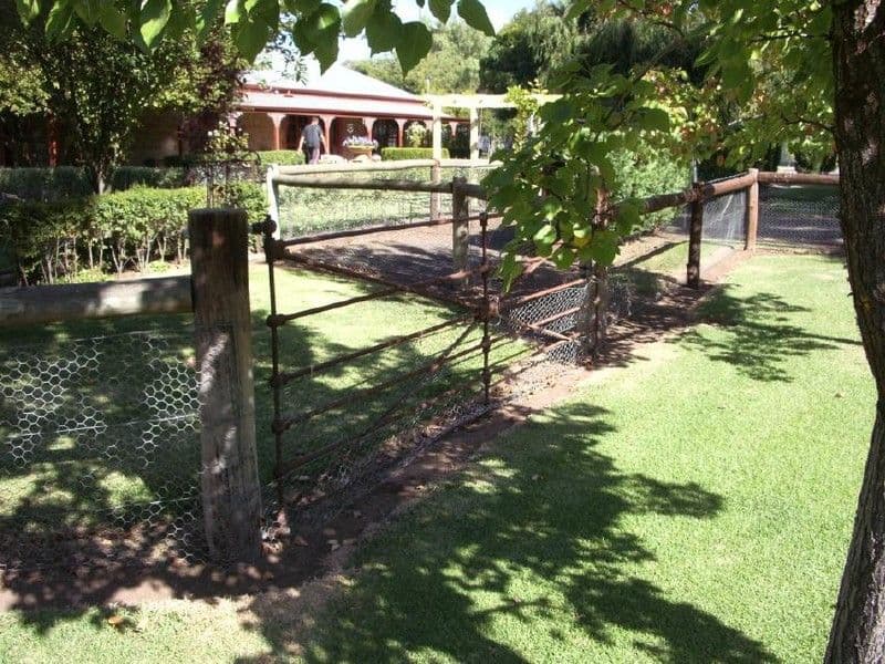 1 Frances Road, BORDERTOWN SA 5268, Bordertown - Thumbnail 6