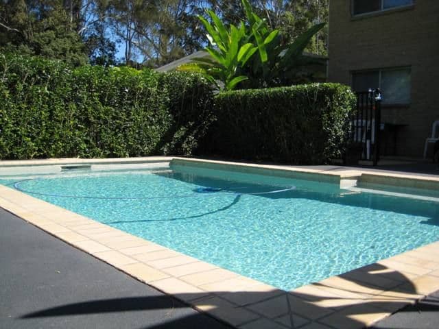 156 Laguna Avenue, PALM BEACH QLD 4221, Palm Beach - Thumbnail 3