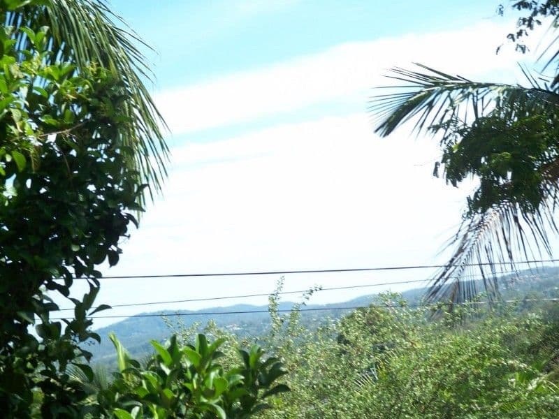 59 Anakie Drive, CORNUBIA QLD 4130, Cornubia - Thumbnail 2