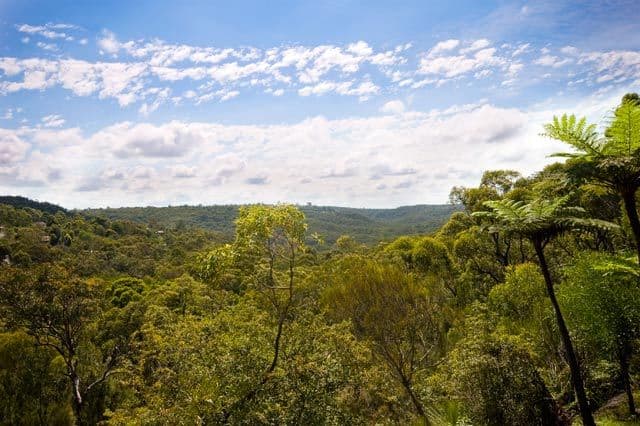 3 Andrew Street, DAVIDSON NSW 2085, Davidson - Image 1