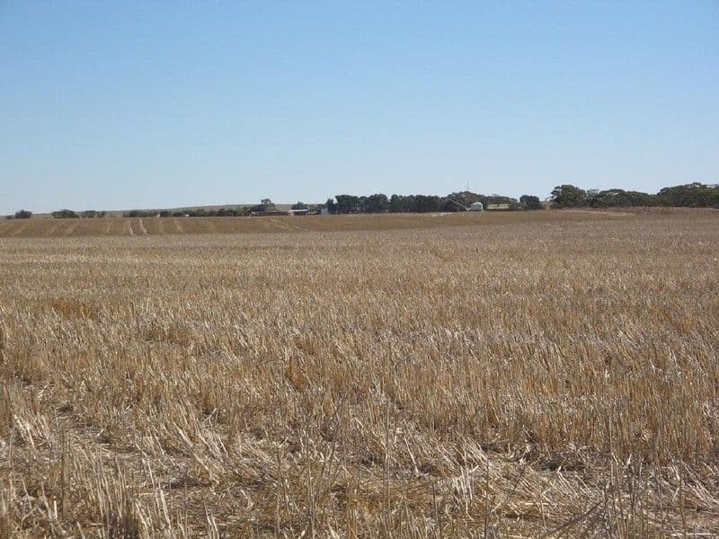 Sec 29 Beehive Road, JABUK SA 5301, Jabuk - Image 1
