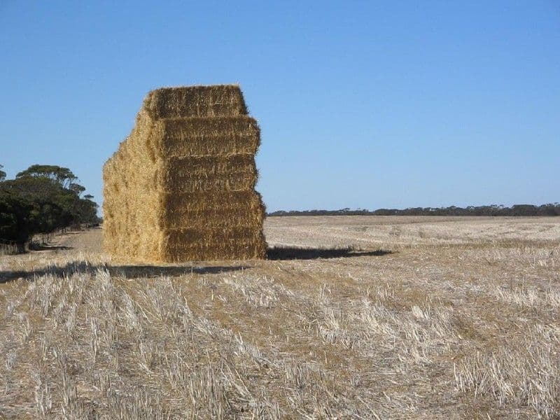 Sec 29 Beehive Road, JABUK SA 5301, Jabuk - Thumbnail 2