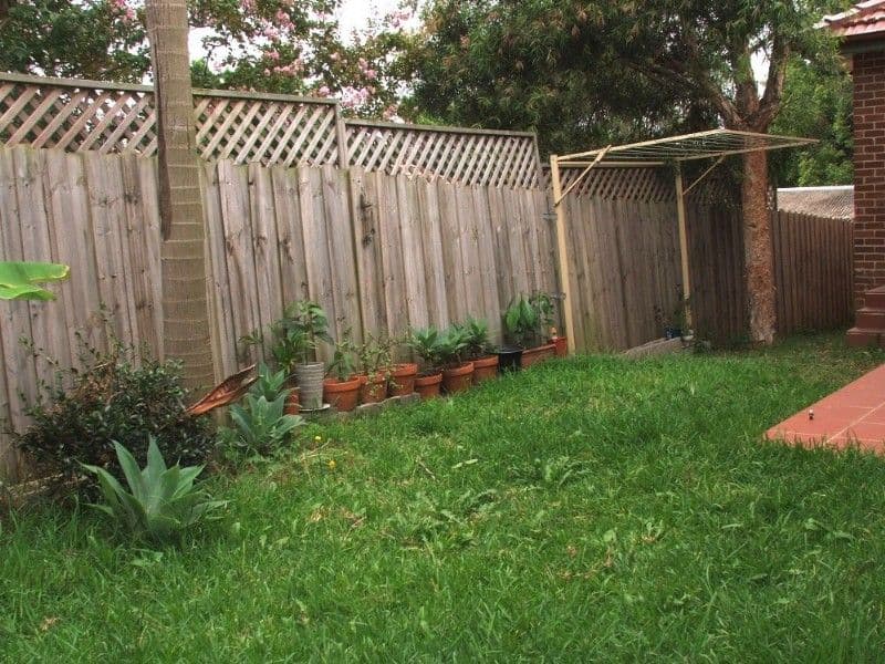 3a Westville Place, WESTMEAD NSW 2145, Westmead - Thumbnail 3