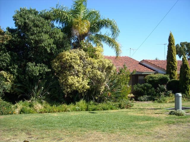 47 Wattle Street, TUART HILL WA 6060, Tuart Hill - Image 1
