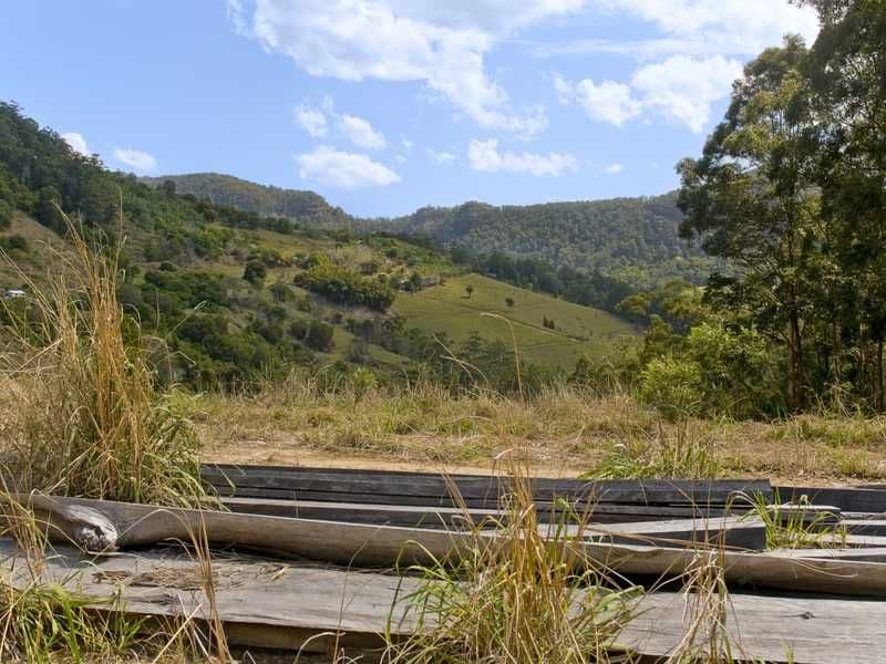 191 Petsch Creek Road, TALLEBUDGERA VALLEY QLD 4228, Tallebudgera Valley - Thumbnail 5