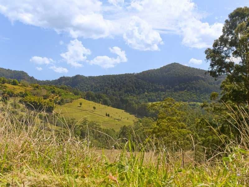 191 Petsch Creek Road, TALLEBUDGERA VALLEY QLD 4228, Tallebudgera Valley - Thumbnail 7