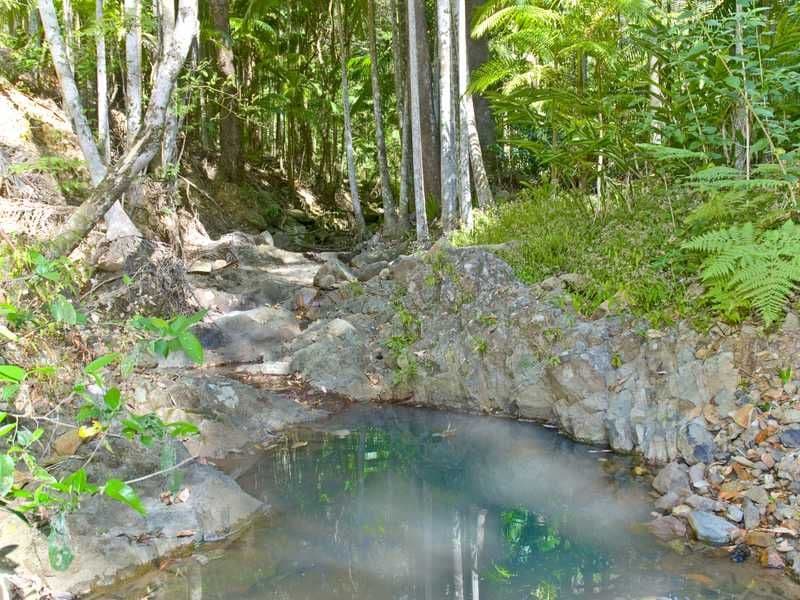 191 Petsch Creek Road, TALLEBUDGERA VALLEY QLD 4228, Tallebudgera Valley - Thumbnail 6