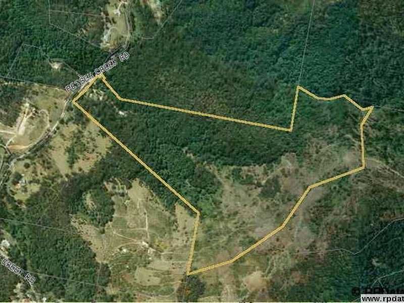 191 Petsch Creek Road, TALLEBUDGERA VALLEY QLD 4228, Tallebudgera Valley - Thumbnail 3
